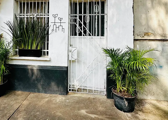 The Simple Life - Tiny In Roma Sur * Mexico City